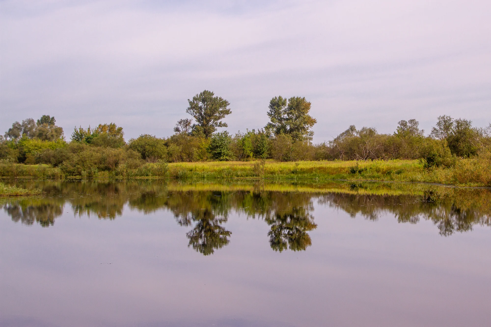 Наблюдения за дикой природой на озере Речище