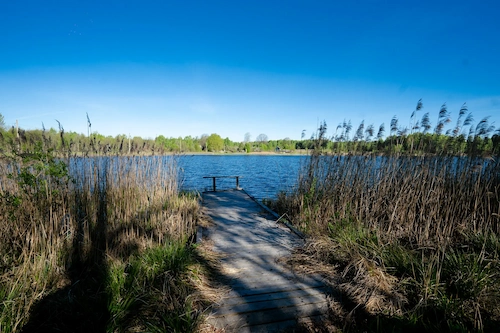 Pond on the Kozlyanka river