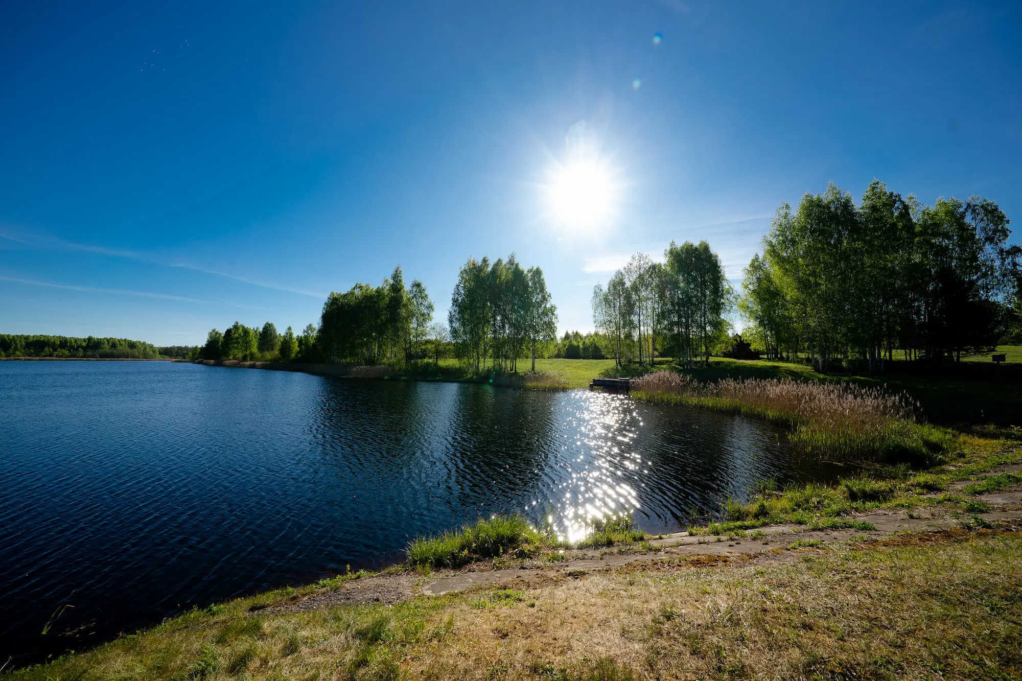 Пруда на реке Козлянка_6