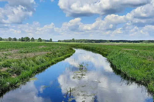 Р. Скрыпіца