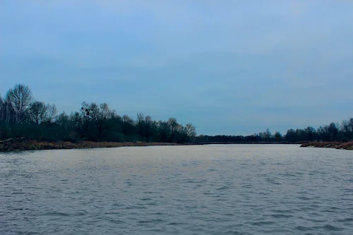 Воз. Старыца