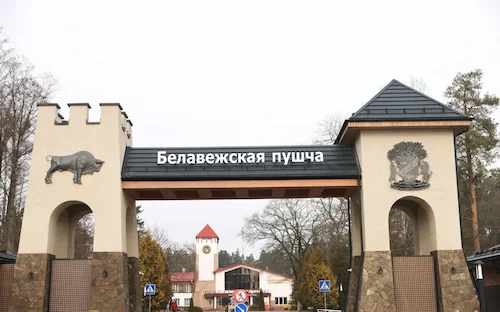 Belovezhskaya Pushcha National Park Entry Group Rental