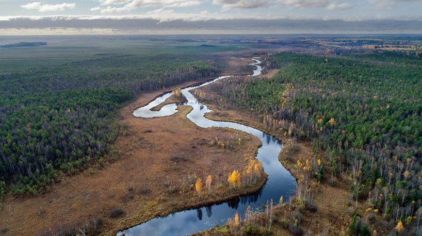 SNCI «Berezinsky Biosphere Reserve»