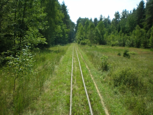 Бывшая узкоколейная дорога