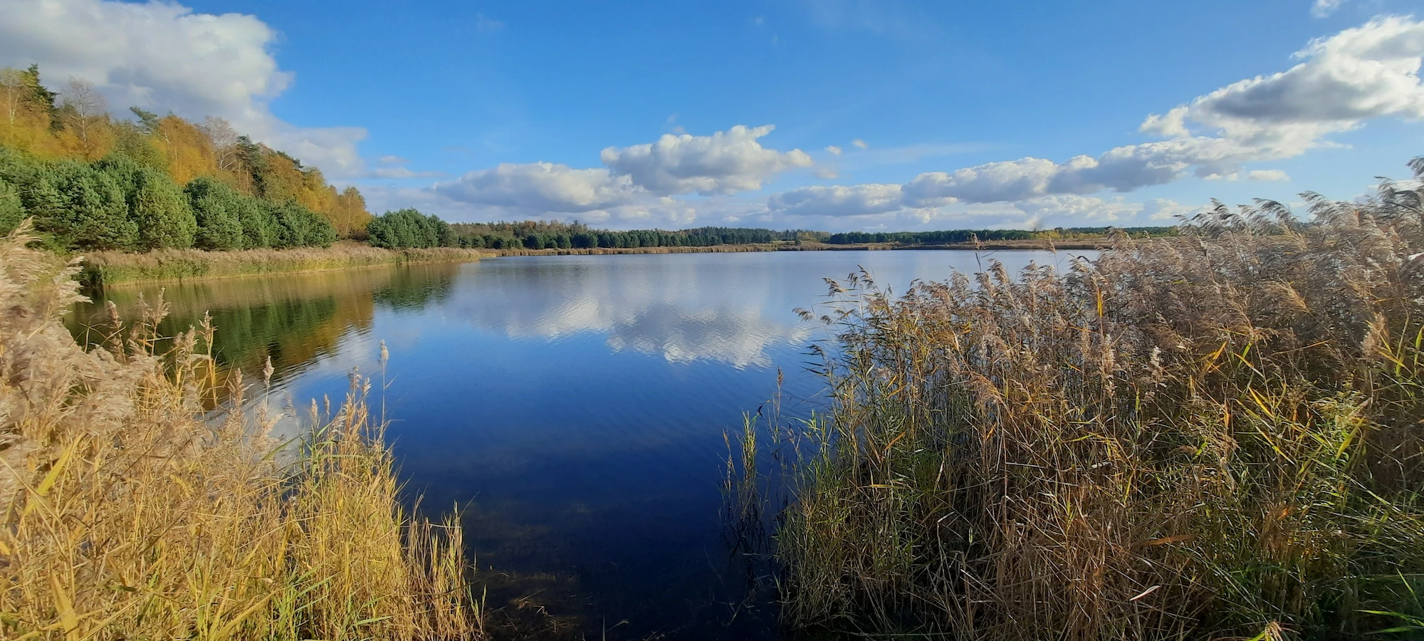 Гайдуковка живописный водоём