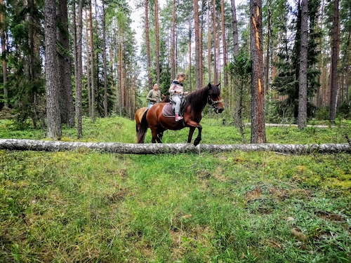 Туристический маршрут «Затерянный мир»